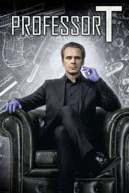 Профессор Т. (сериал, 2017)