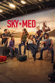 Летучие медики (сериал, 2022)