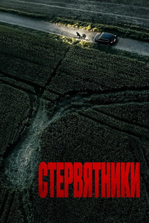 Стервятники (фильм, 2025)